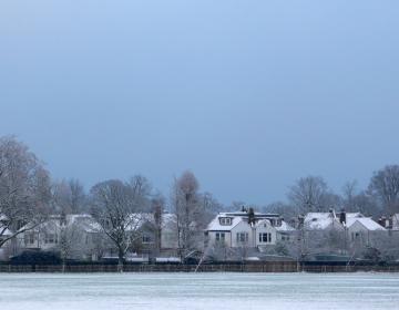 Dulwich, London Neighborhood Photo