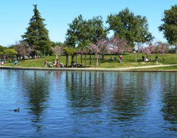 Lake Balboa