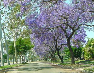 Lakewood