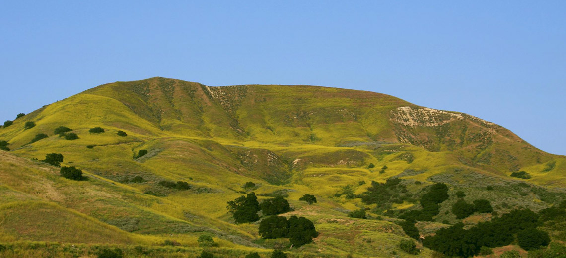 Calabasas Los Angeles Neighborhood Photo