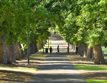 south yarra suburb guide, south yarra suburb profile, neighborhood guide to south yarra Neighborhood Photo