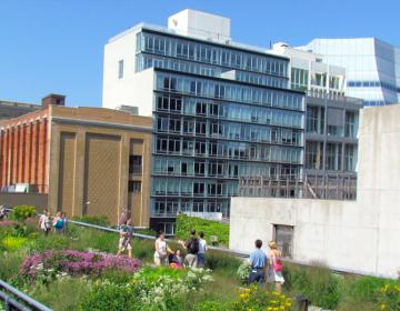 Meatpacking District