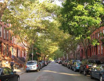 Carroll Gardens, New York City Neighborhood Photo