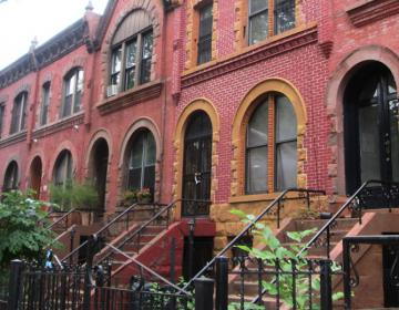 Crown Heights, New York City Neighborhood Photo