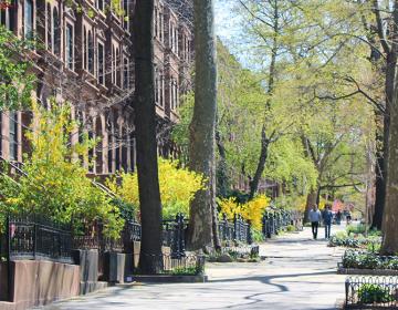 Park Slope