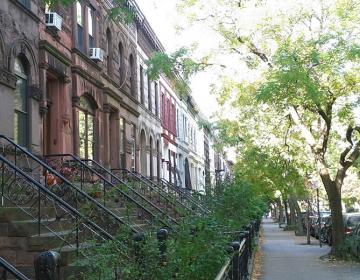 Prospect Heights