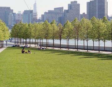 Roosevelt Island
