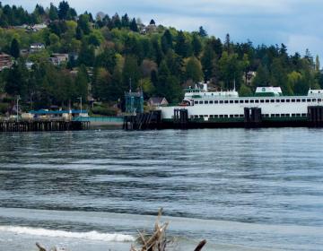 Fauntleroy