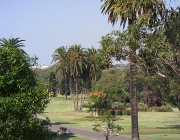 Centennial Park
