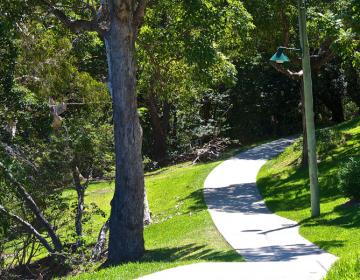  Neighborhood Photo