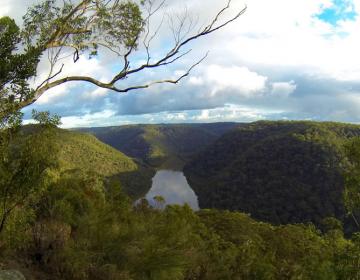 Hornsby