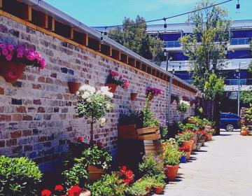  Neighborhood Photo