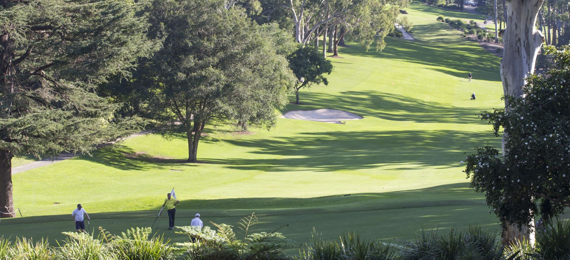 Killara Sydney Neighborhood Photo