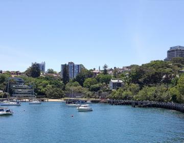  Neighborhood Photo
