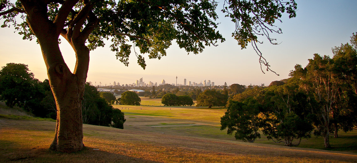 Queens Park Sydney Neighborhood Photo